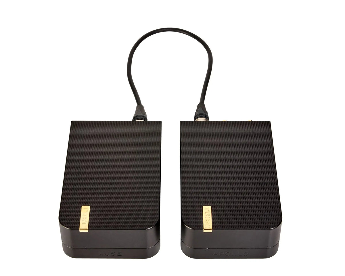 Michell Apollo MM/MC Phono Stage with MUSE | The Grid HiFi