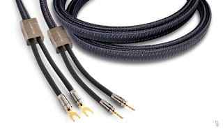Clarus - Aqua CASP Speaker Cables (EACH)