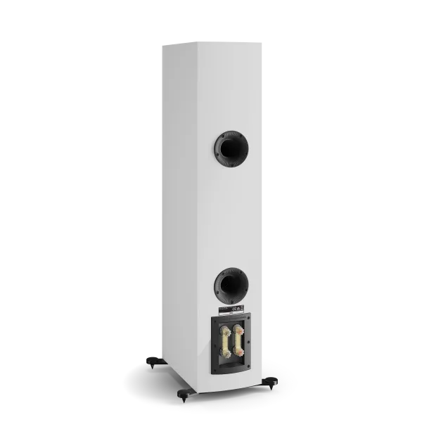 DALI RUBIKORE 6 Floorstanding Speakers | The Grid HiFi