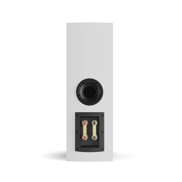 DALI RUBIKORE CINEMA LCR Speaker | The Grid HiFi
