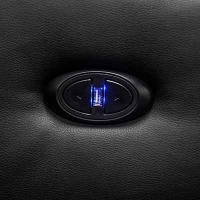 Salamander TC3 Two-Seat Curved Theater Seating | The Grid