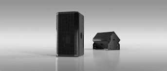Theory Audio Design SR-112.2-BK 12" Loudspeaker Black | The Grid HiFi