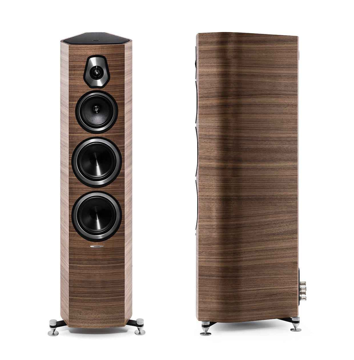 Sonus Faber - Sonetto V
