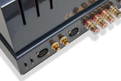 PrimaLuna EVO 300 Tube Power Amplifier | The Grid HiFi