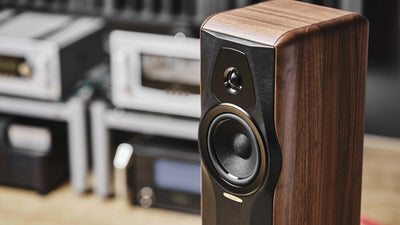 Sonus faber Maxima Amator Floorstanding Speakers | The Grid