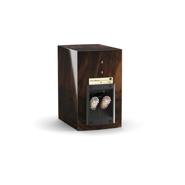 DALI MENUET SE Bookshelf Speakers | The Grid HiFi