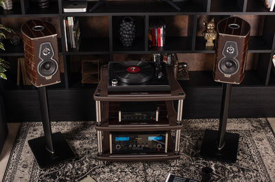 Bassocontinuo Accordeon XL4 2.1 Audio Rack Sonus Faber Edition