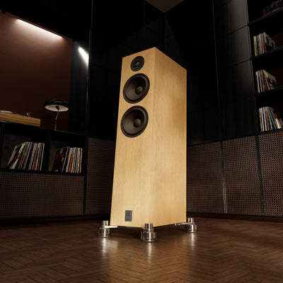 Marten Dexter Trio