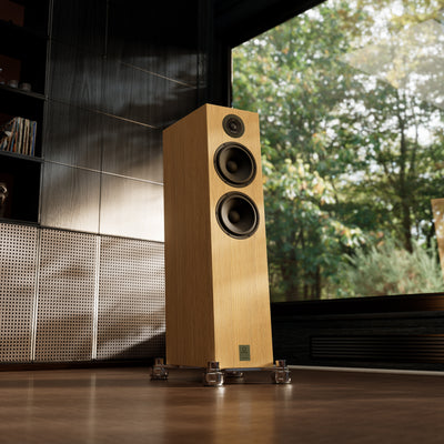 Marten Dexter Trio