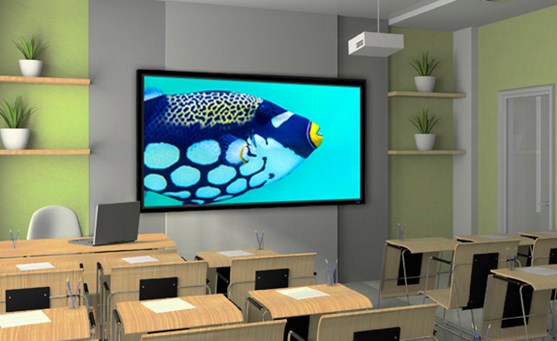 Stewart WallScreen Deluxe 120" StudioTek 130 G4 | The Grid