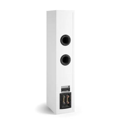 DALI OPTICON 6 MK2 Floorstanding Speakers | The Grid HiFi