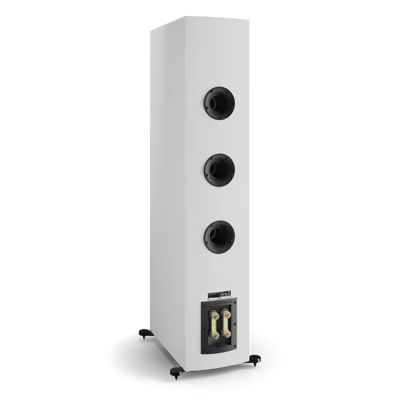 DALI RUBIKORE 8 Floorstanding Speakers | The Grid HiFi