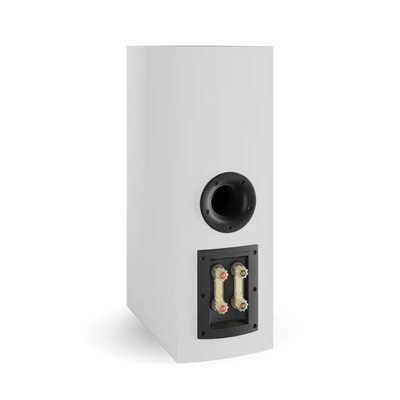 DALI RUBIKORE CINEMA LCR Speaker | The Grid HiFi