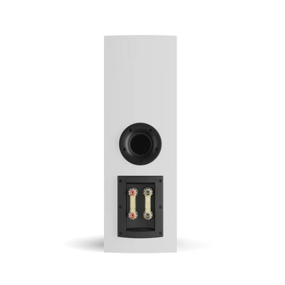 DALI RUBIKORE CINEMA LCR Speaker | The Grid HiFi