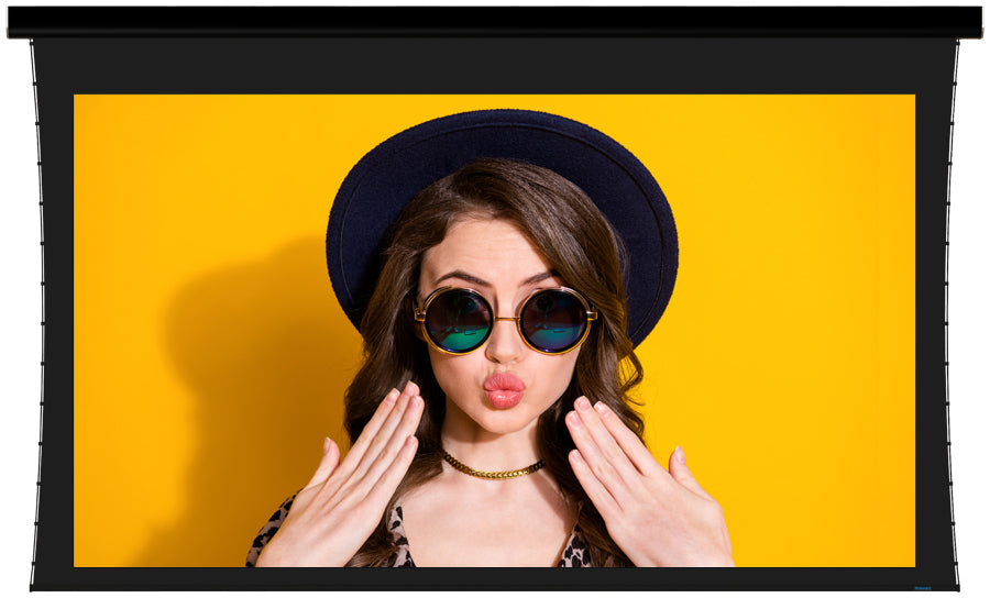 Stewart Luxus G2 120" StudioTek 130 G4 Screen | The Grid