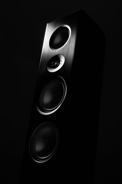 T+A - Talis S 300  Floor-standing speaker (PAIR)