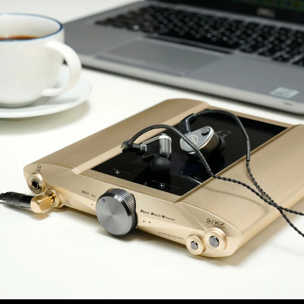iFi iDSD Valkyrie Portable DAC & Headphone Amp Gold | The Grid