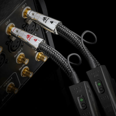 AudioQuest Dragon RCA Interconnect Cable | The Grid HiFi