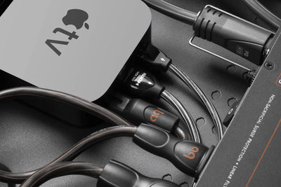 AudioQuest PowerQuest TV3 Power Conditioner | The Grid HiFi