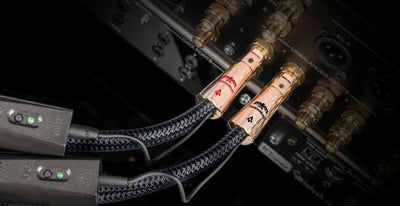 AudioQuest ThunderBird RCA Interconnect Cable | The Grid HiFi