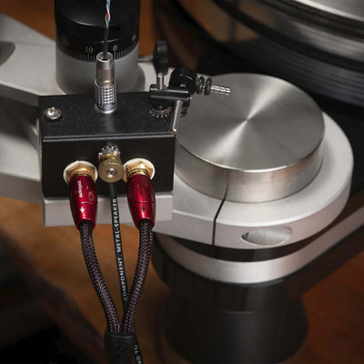 AudioQuest Black Hole GroundGoody Phono Ground Wire | The Grid HiFi