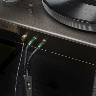 AudioQuest Black Hole GroundGoody Phono Ground Wire | The Grid HiFi