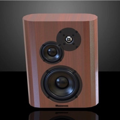 Model TOW In-Wall Loudspeaker