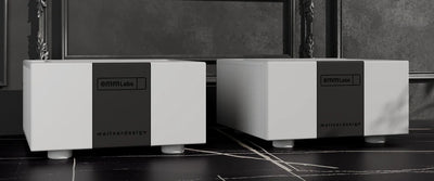 EMM Labs MTRX2 V2 Mono Amplifier Pair | The Grid HiFi