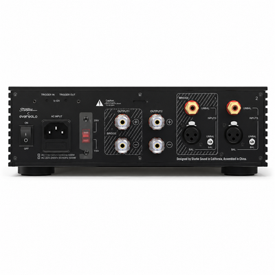 Eversolo AMP-F2 2-Channel Class D Power Amplifier