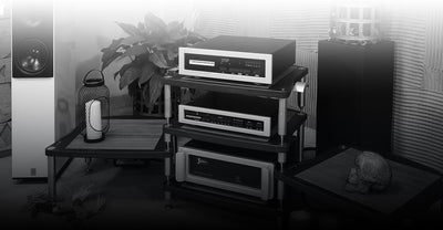 Bassocontinuo Accordeon XL4 2.1 | U.S. Flagship Store