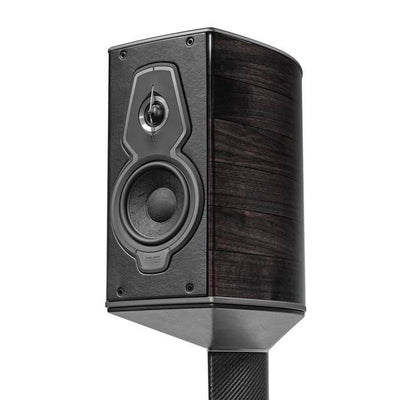 Close-up view of Sonus faber Guarneri G5 floorstanding speaker, highlighting the beautiful Graphite wood finishes.