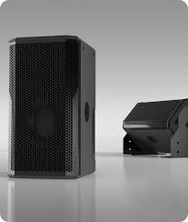Theory Audio Design SR-112.2-BK 12" Loudspeaker Black | The Grid HiFi