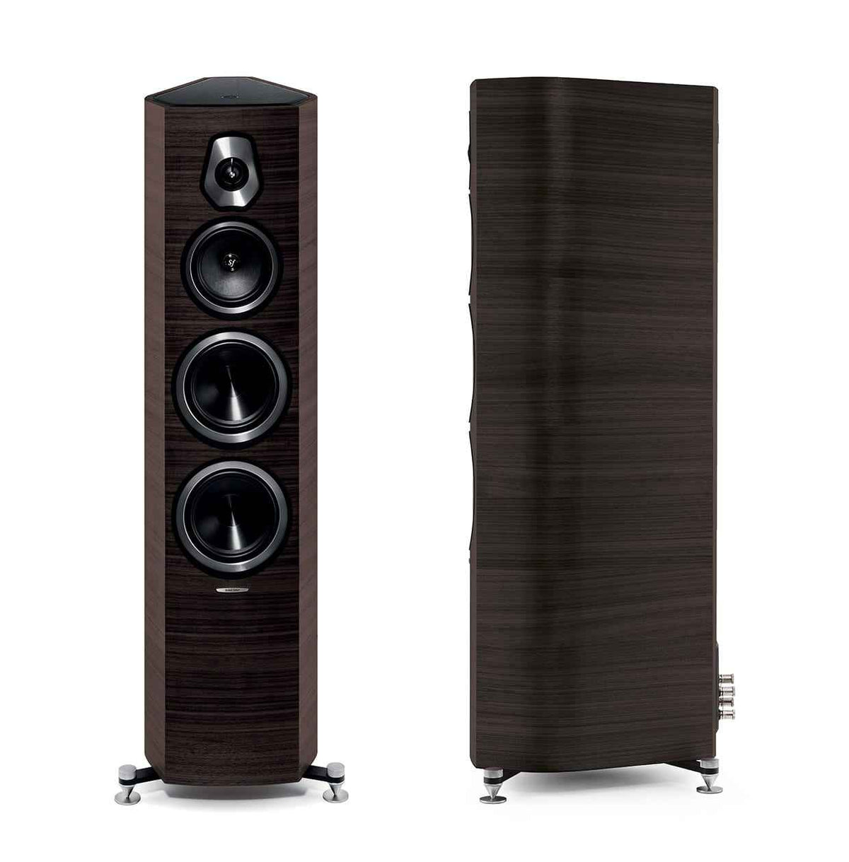 Sonus Faber - Sonetto V