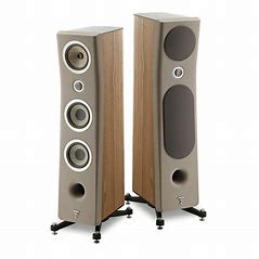 FOCAL KANTA No2 (EACH)