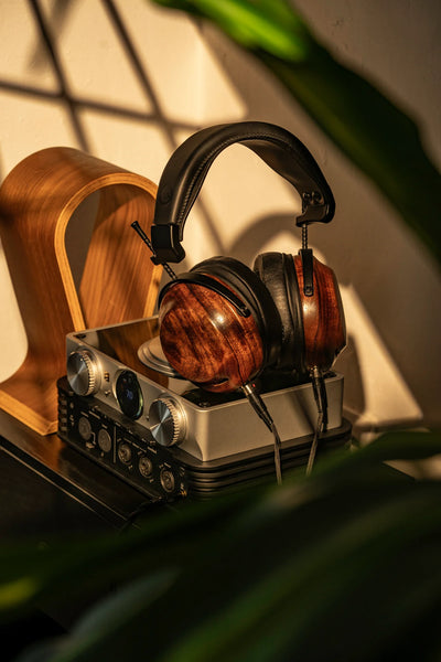 iFi iCAN Phantom 1.5 Reference Headphone Amp | The Grid